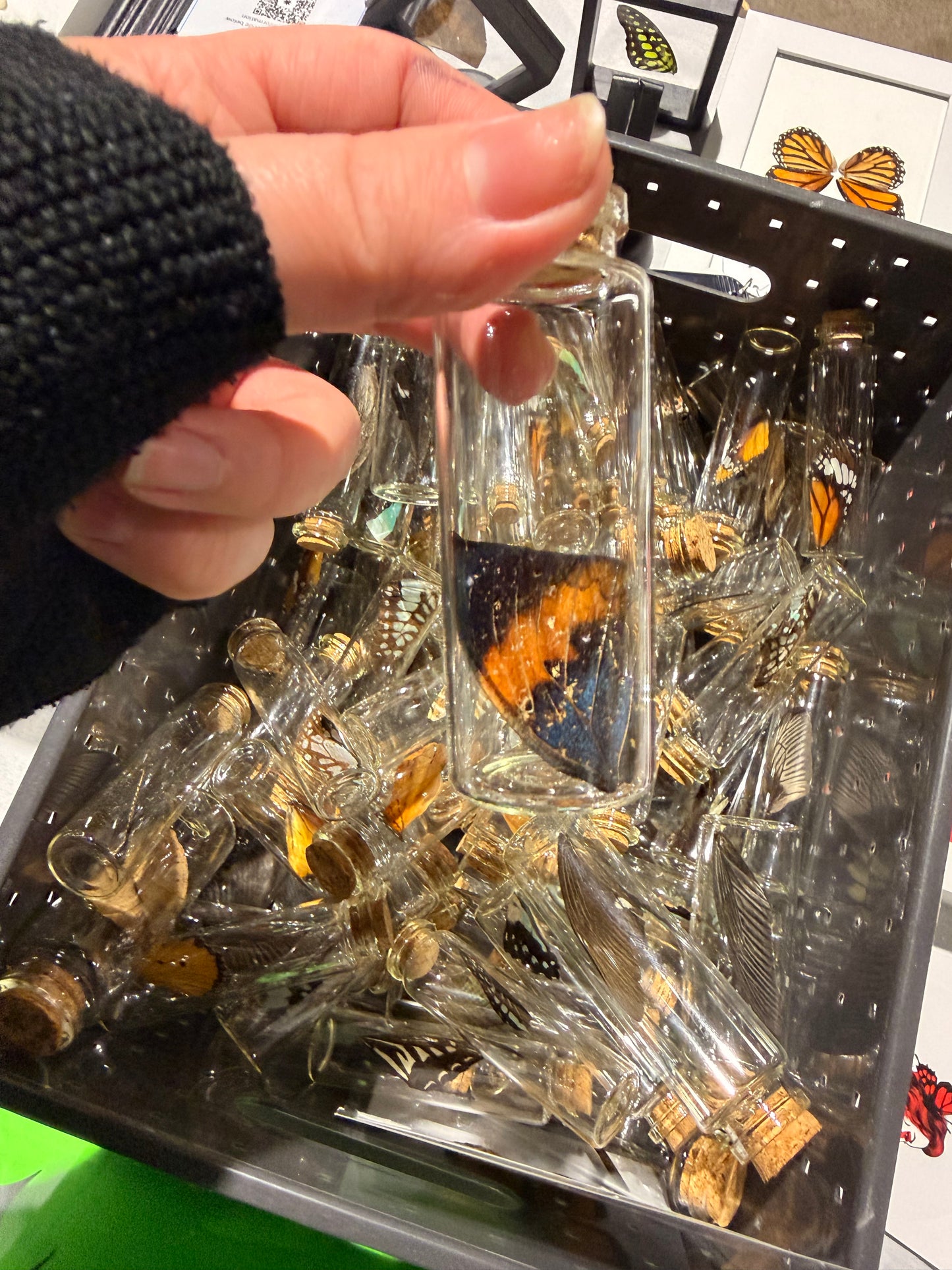 Butterfly Wing Jars - Bundle - 3 Jars