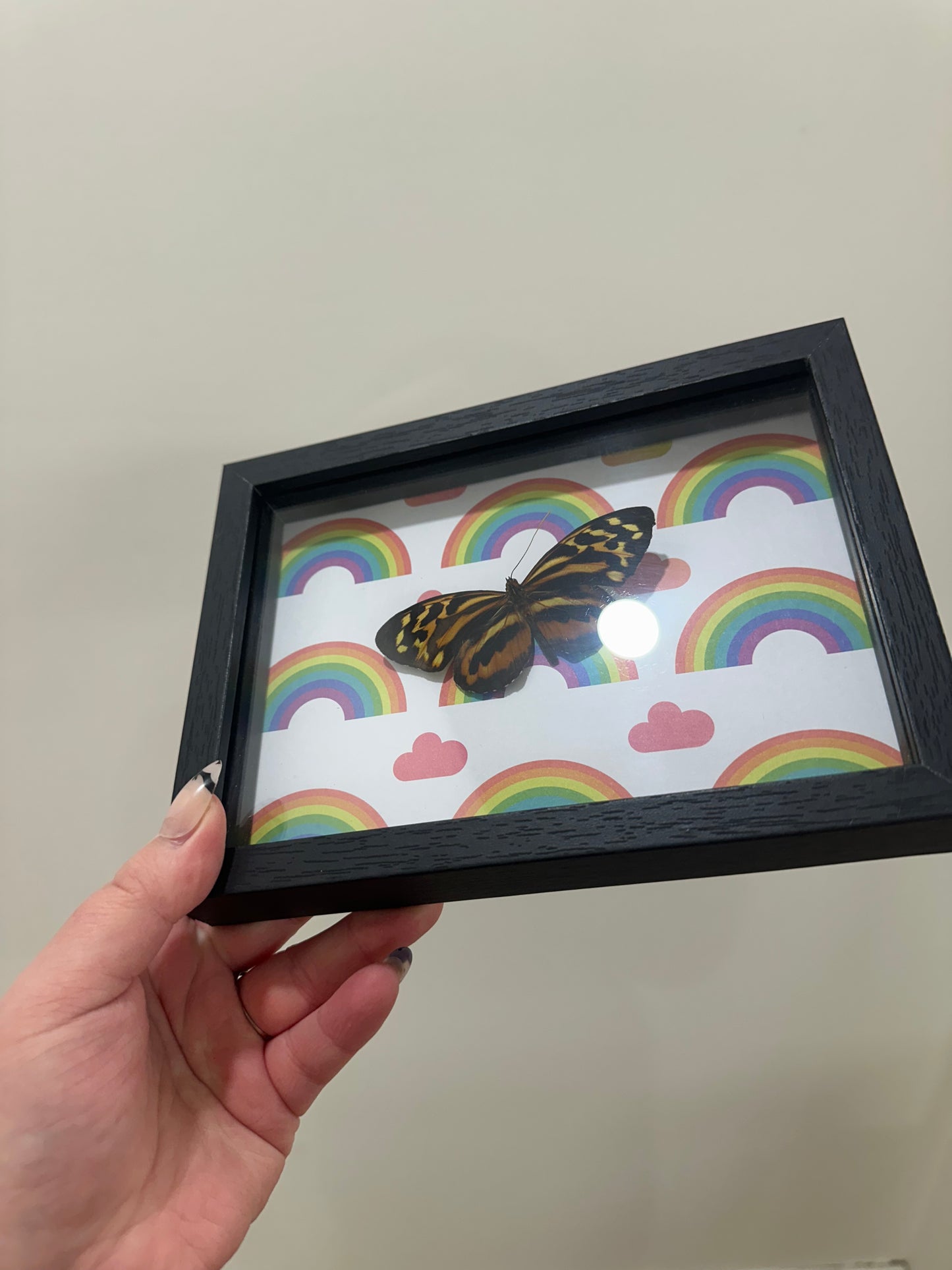 Pride wings