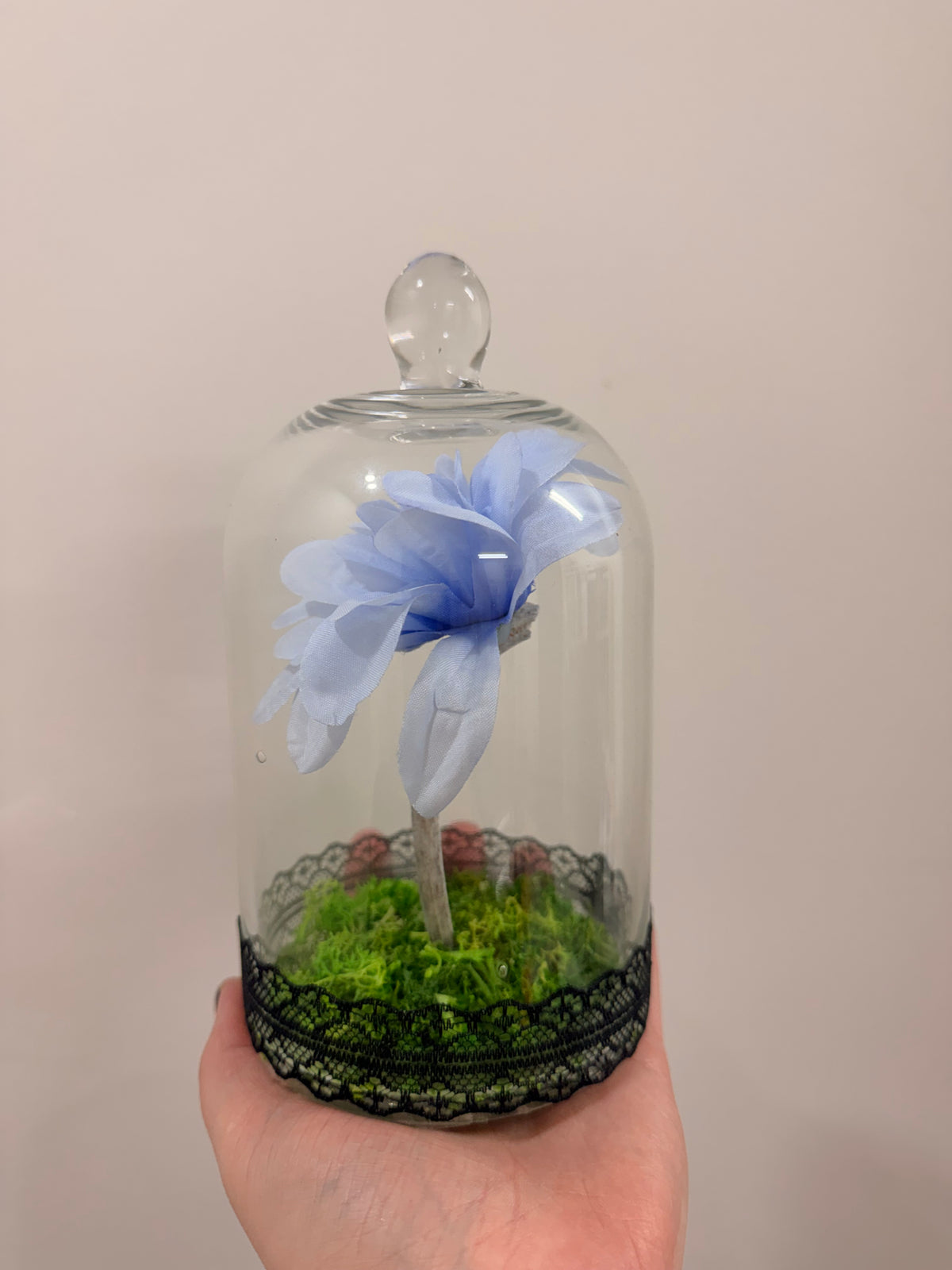 Sheep Rib bone Flower Light Blue