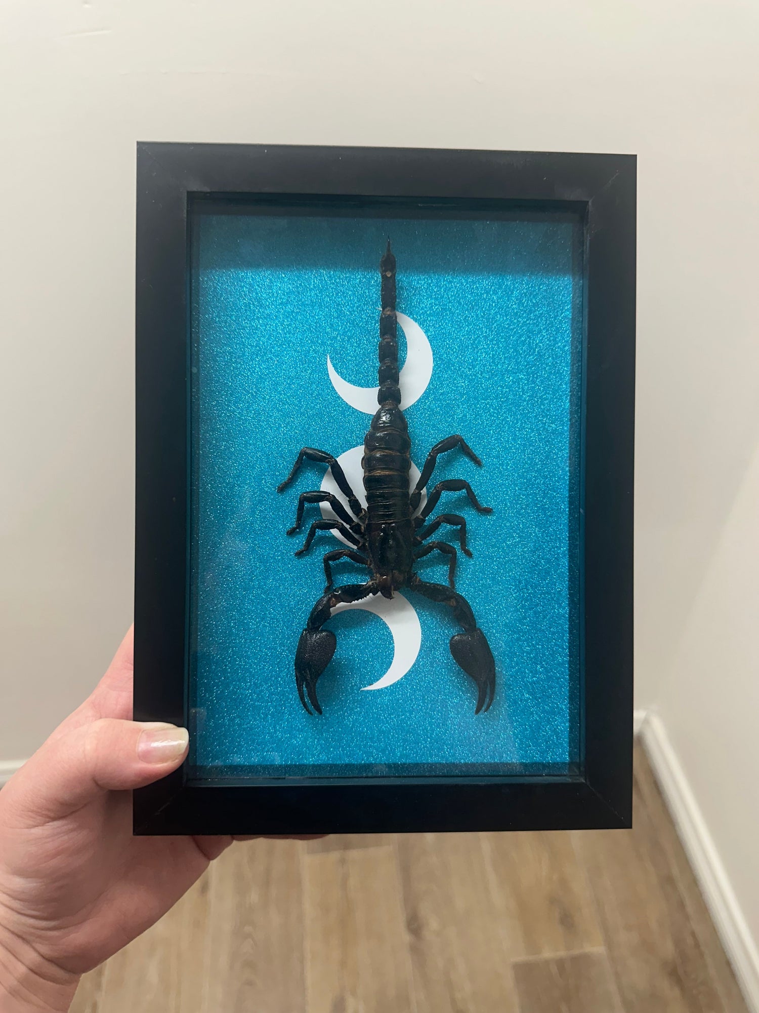 Scorpions.