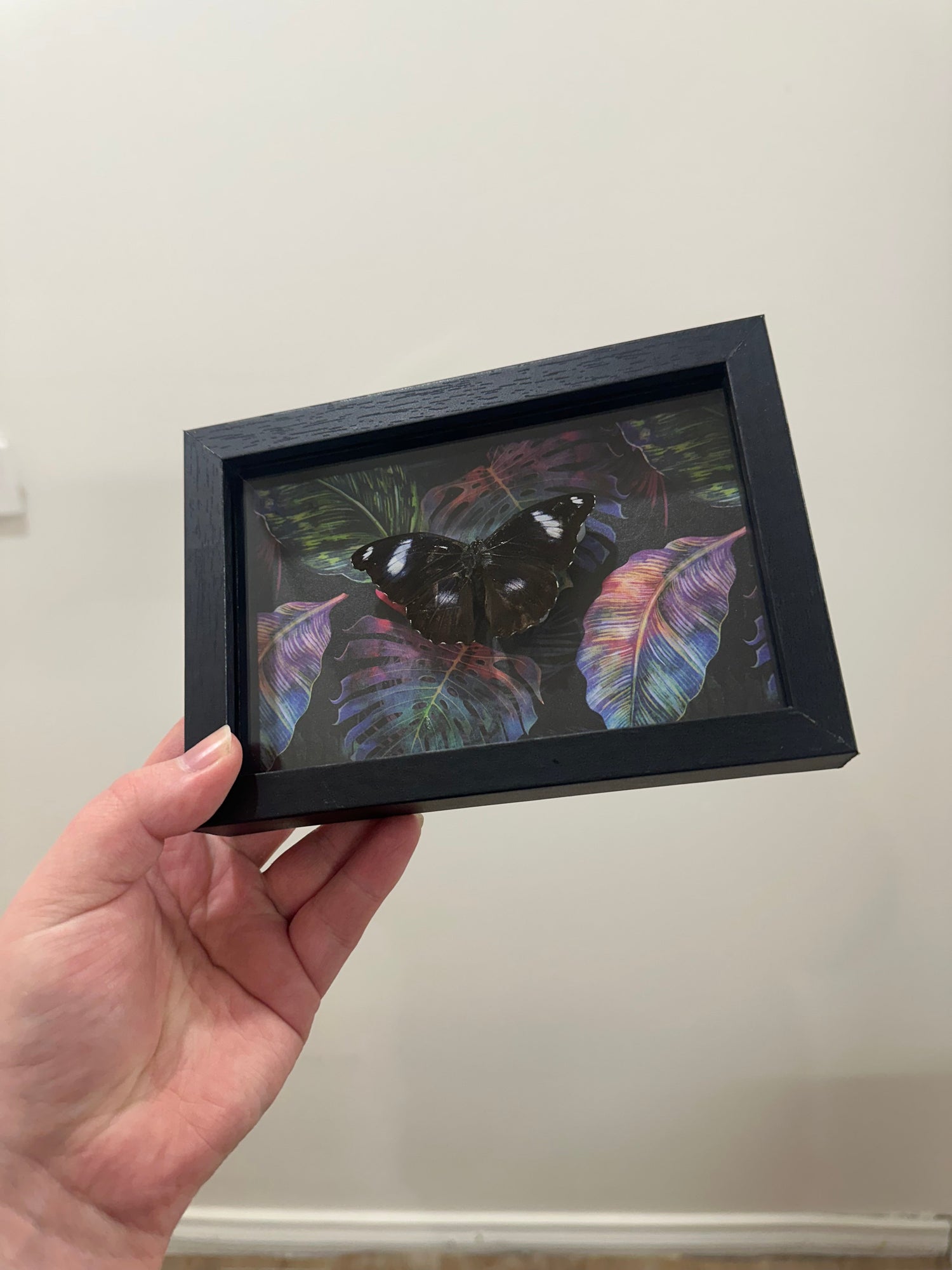CLEARANCE FRAMES