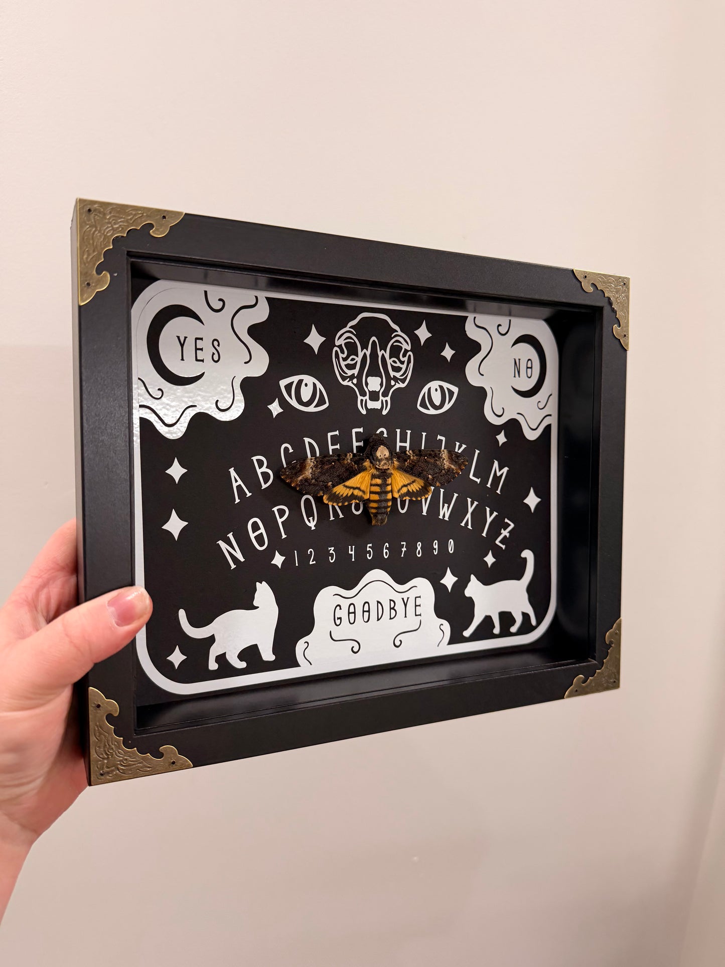 Ouija Board with African Death’s Head Hawkmoth (Acherontia Atropos)