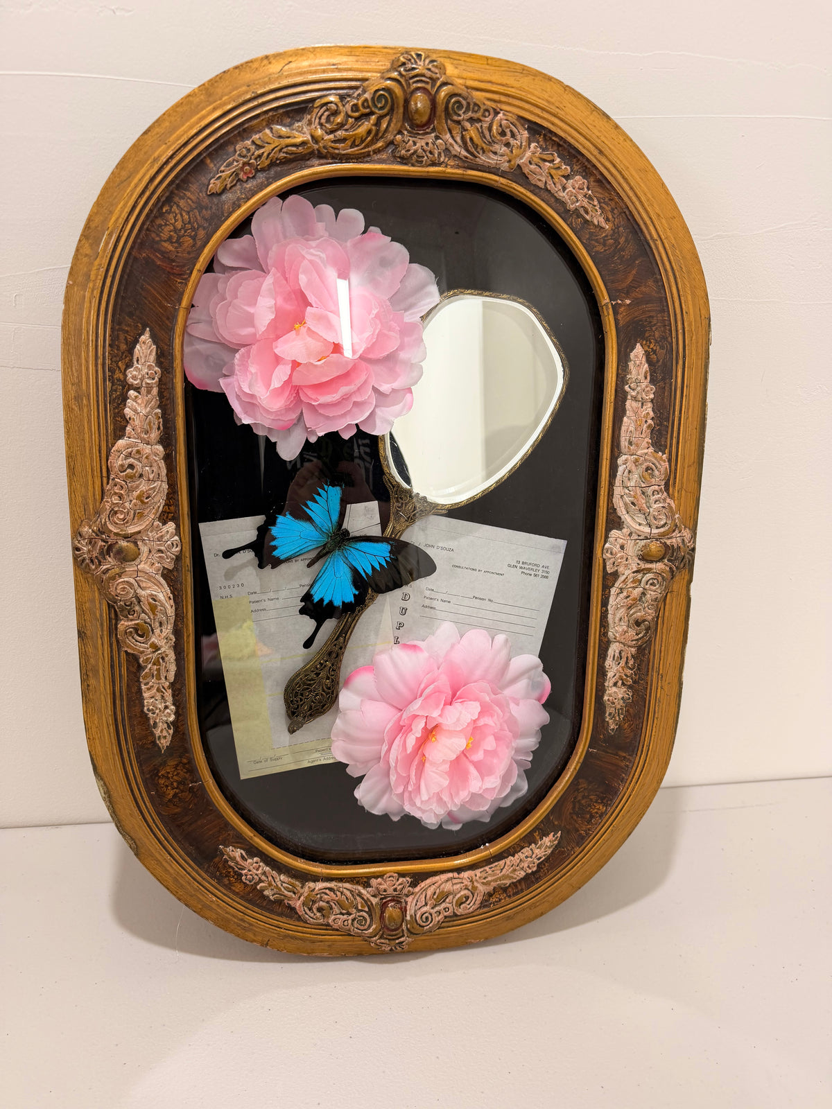 Blue Emperor (Papilio Ulysses) in Antique Convex/Bubble glass.