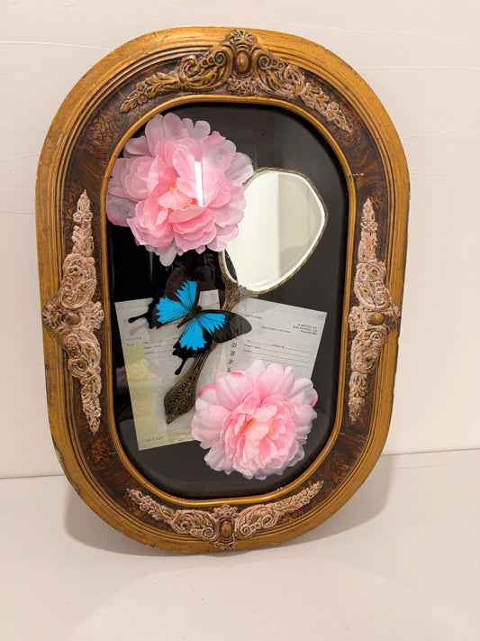 Blue Emperor (Papilio Ulysses) in Antique Convex/Bubble glass.