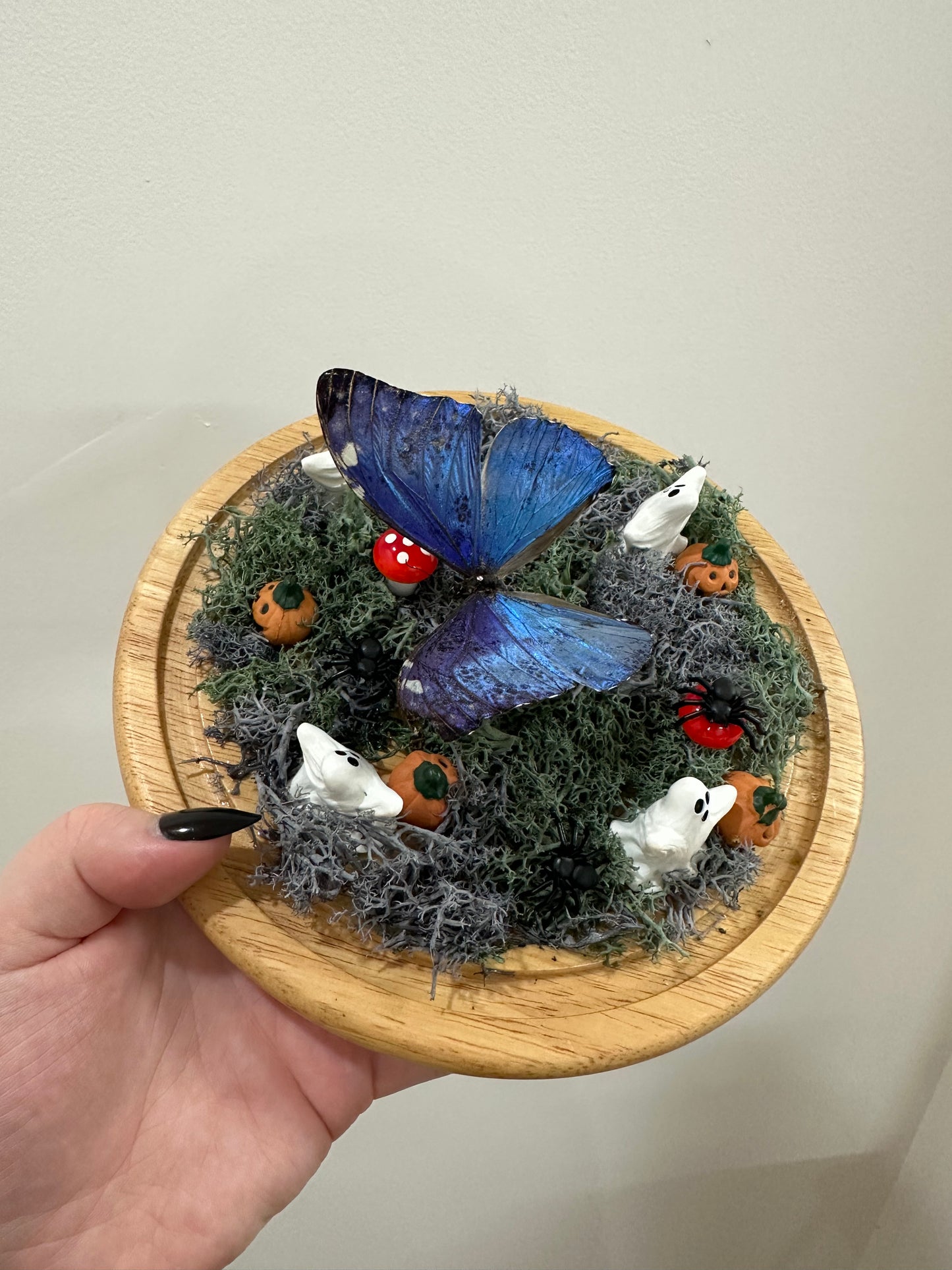 Haunted Butterfly Garden