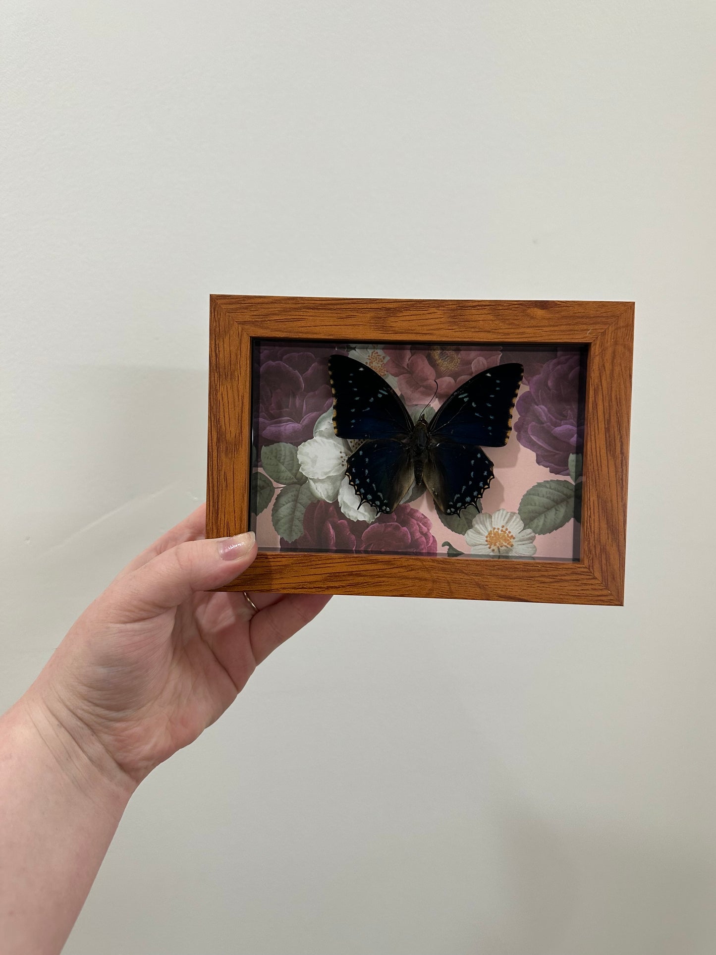 Butterfly with Flowers