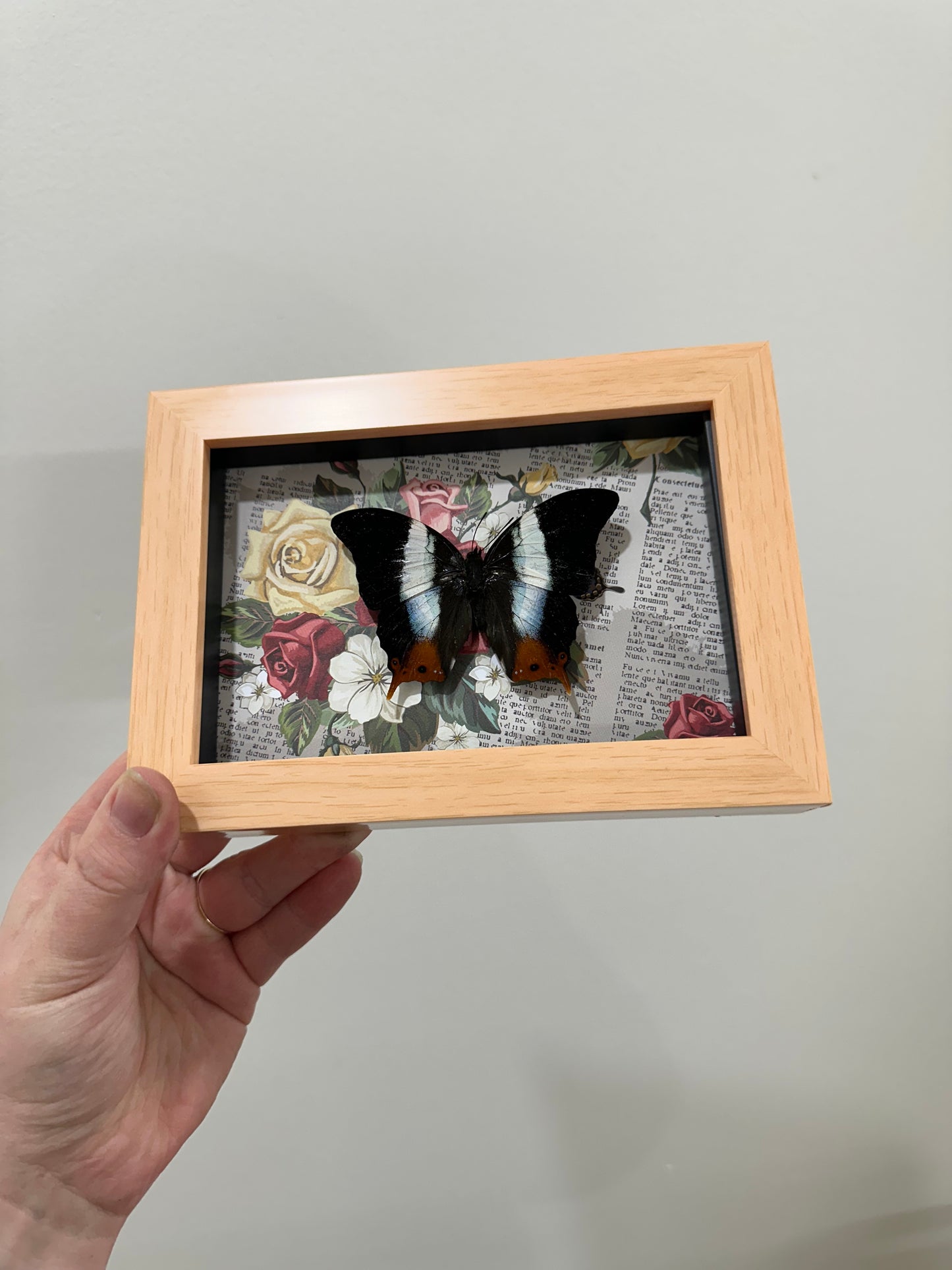Butterfly with roses