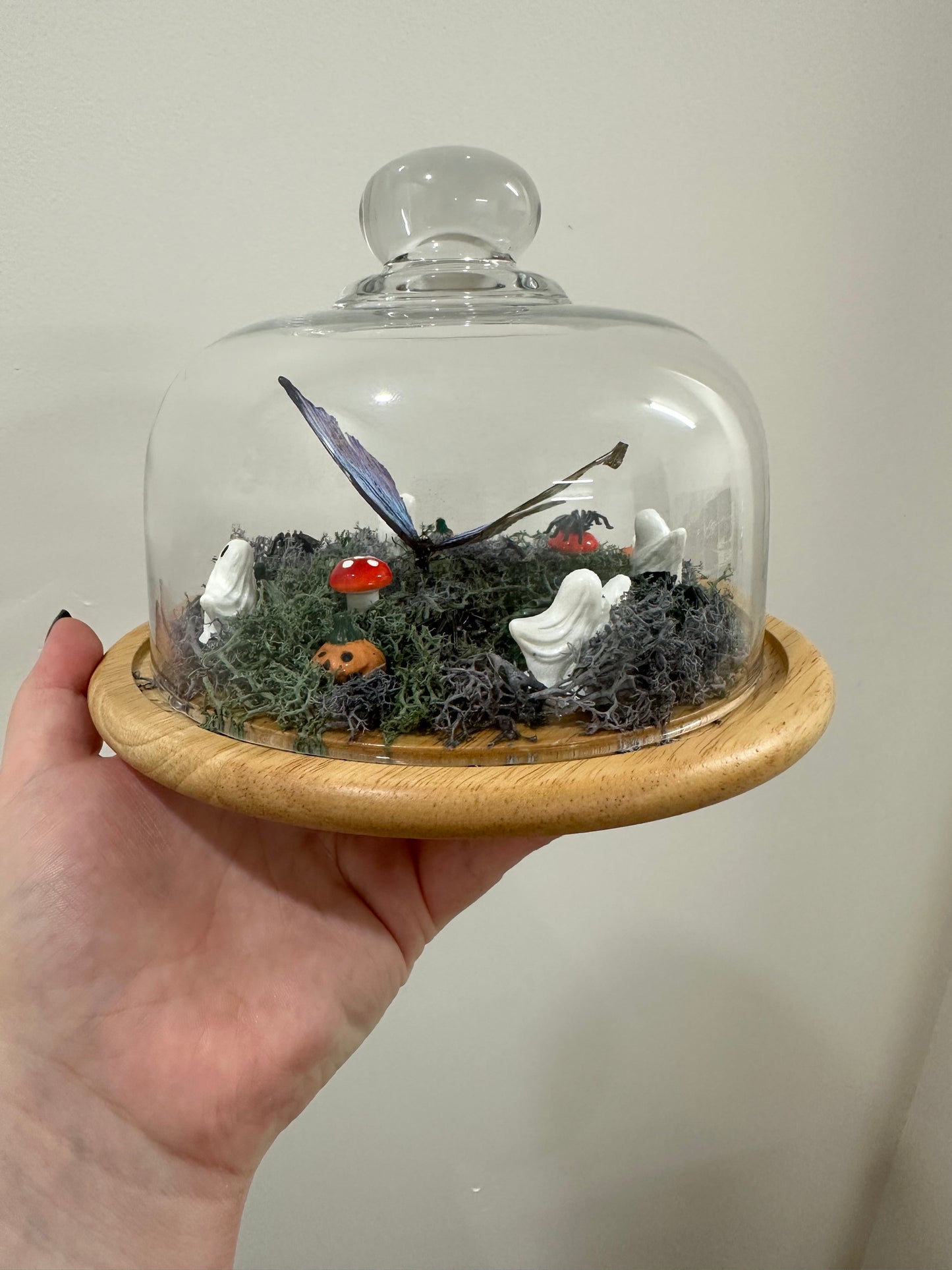 Haunted Butterfly Garden
