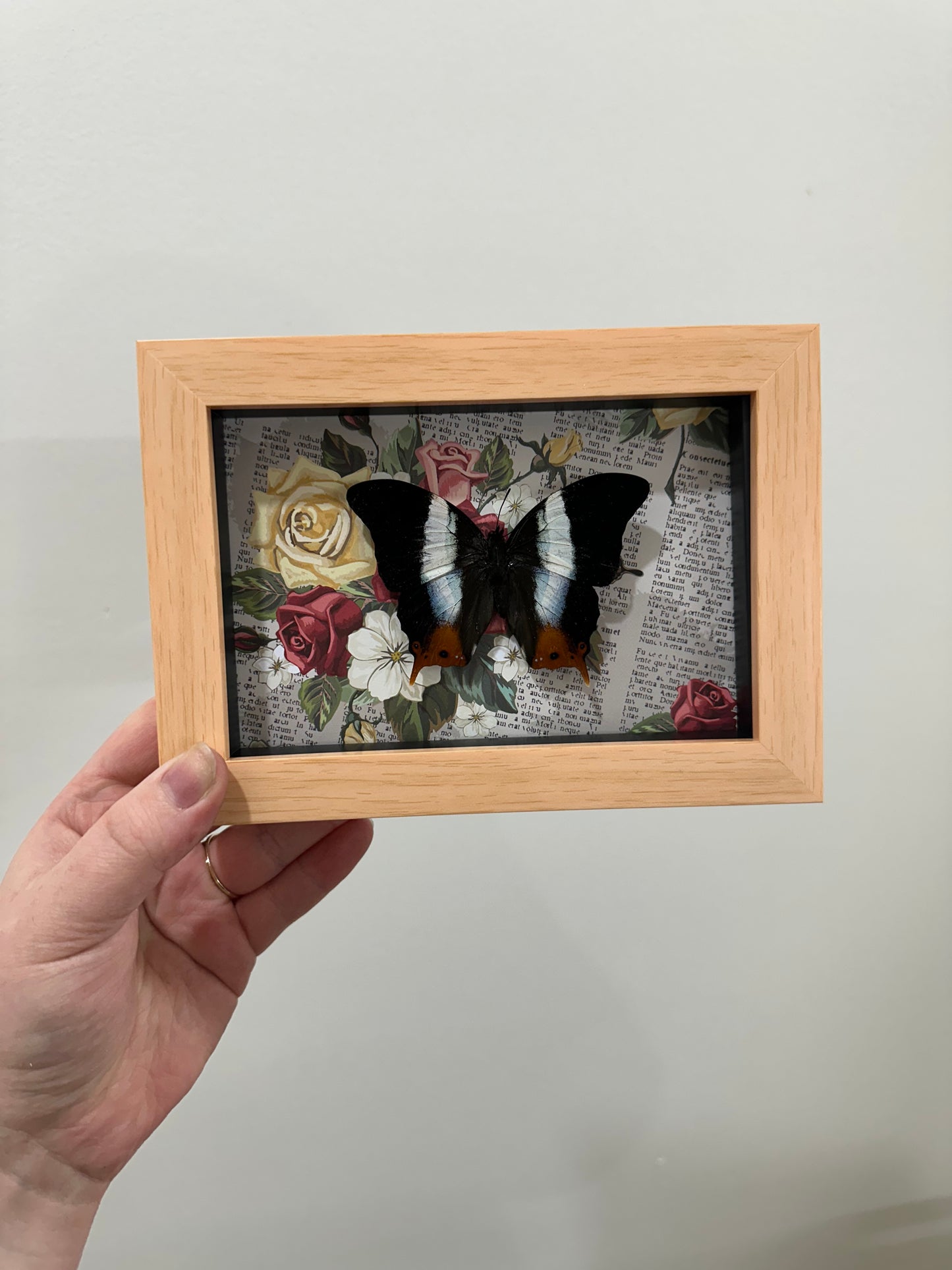 Butterfly with roses