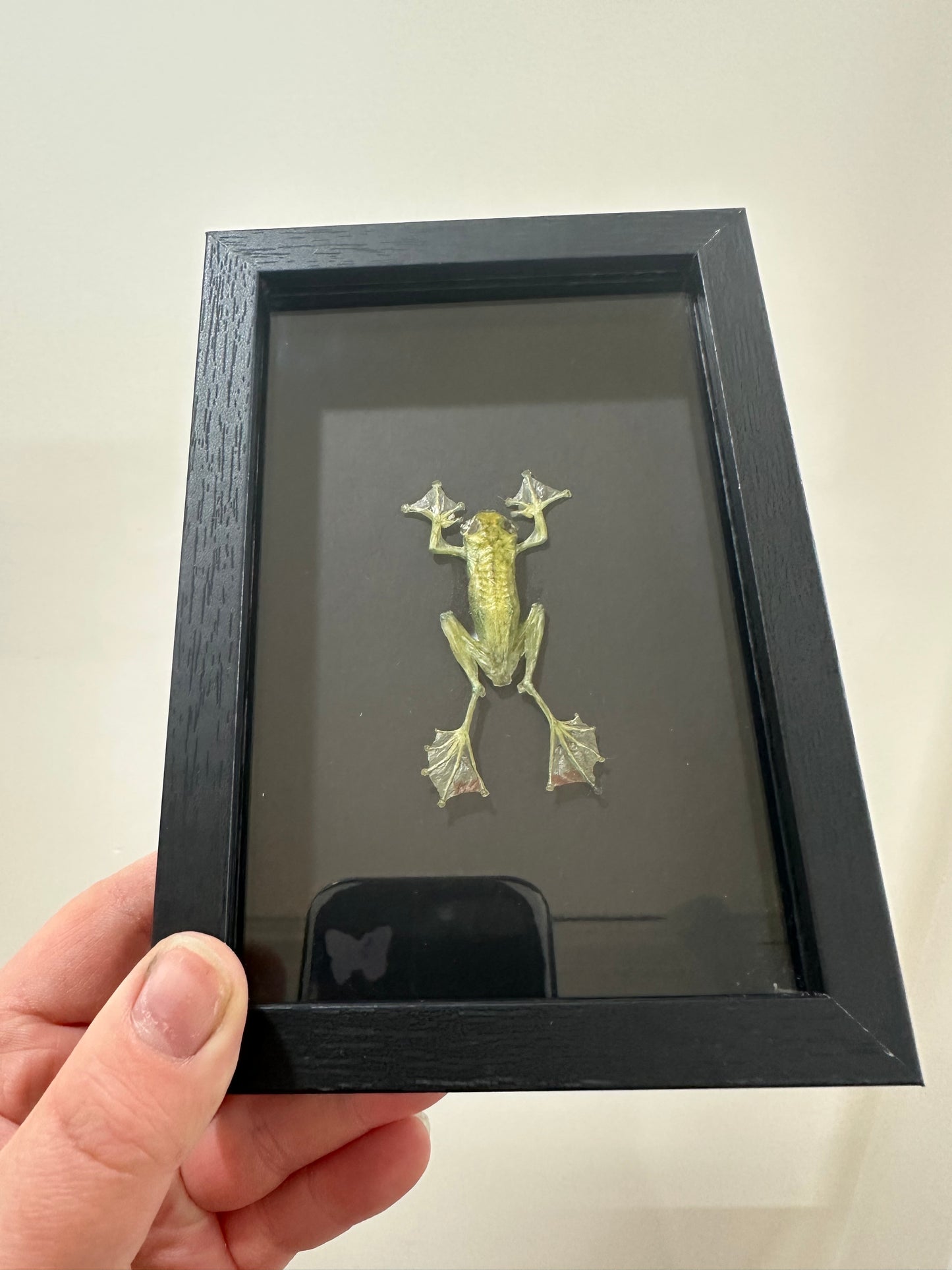 Jade Tree Frog