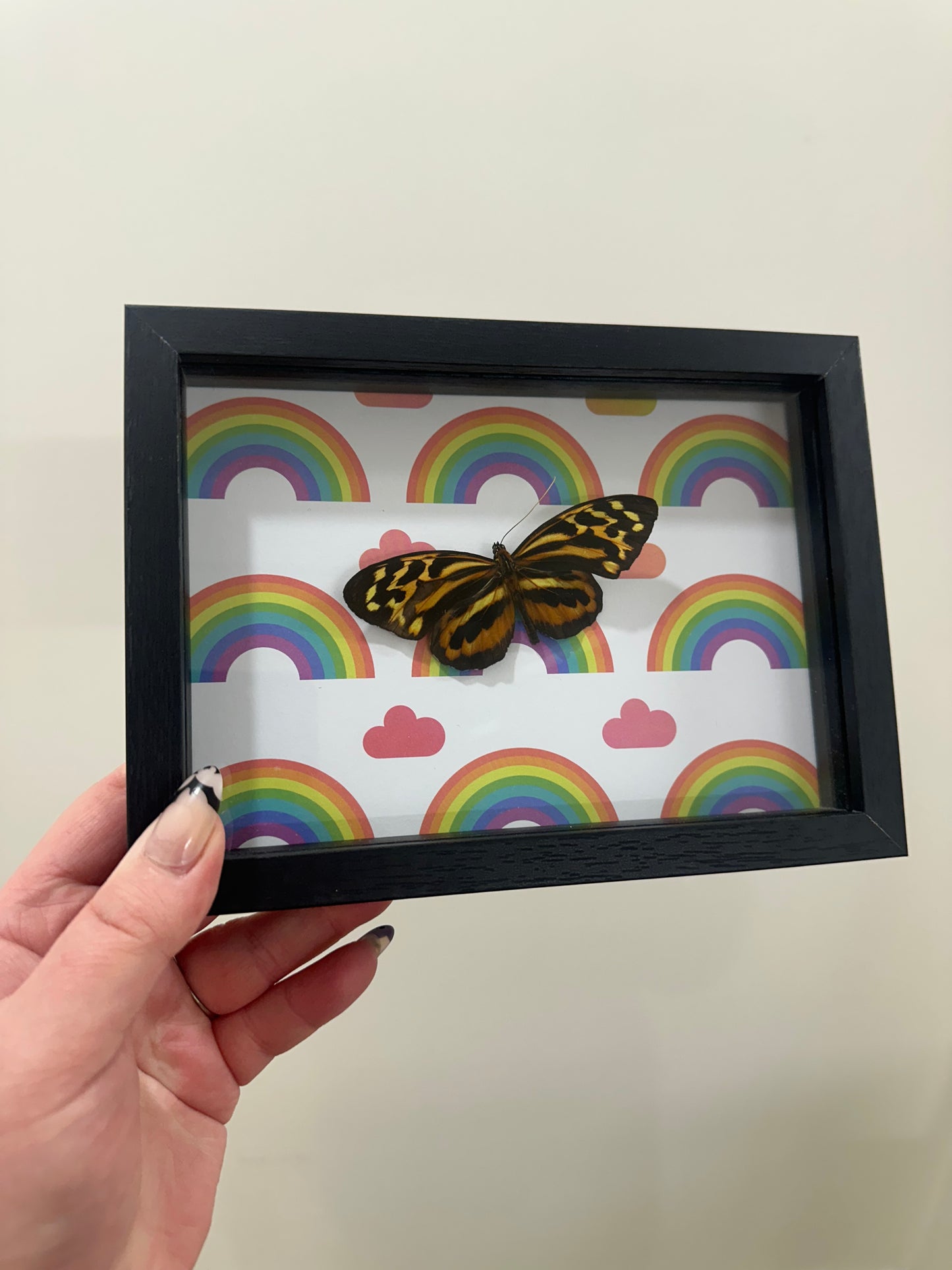 Pride wings