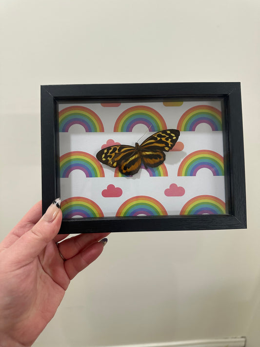 Pride wings