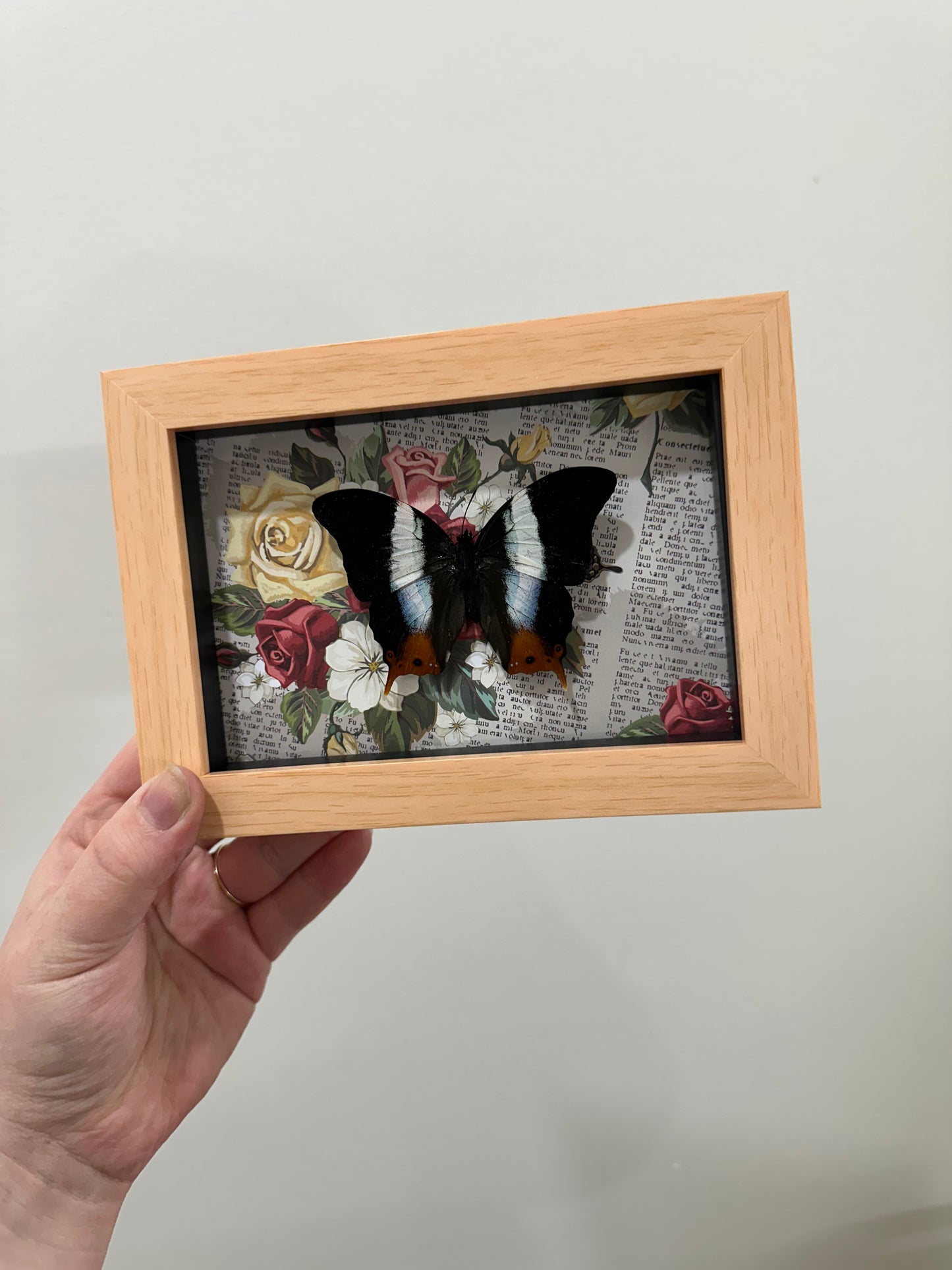 Butterfly with roses