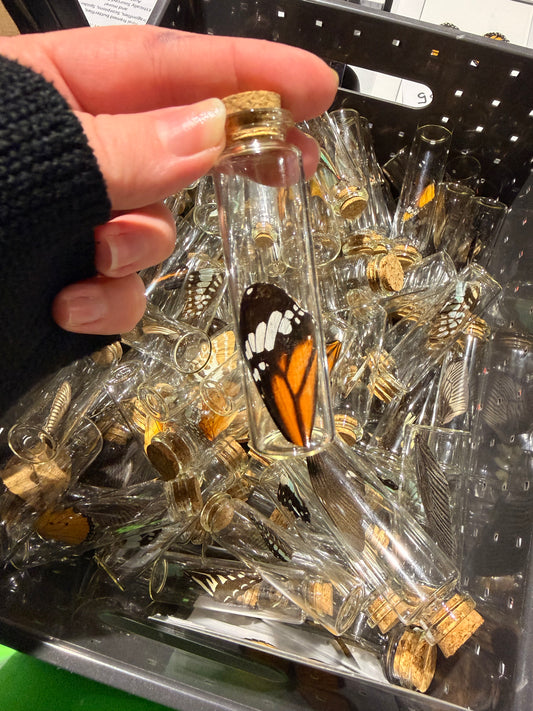 Butterfly Wing Jars - Bundle - 3 Jars (A2)