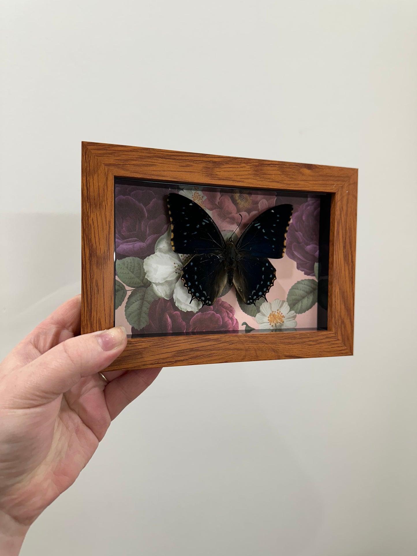 Butterfly with Flowers