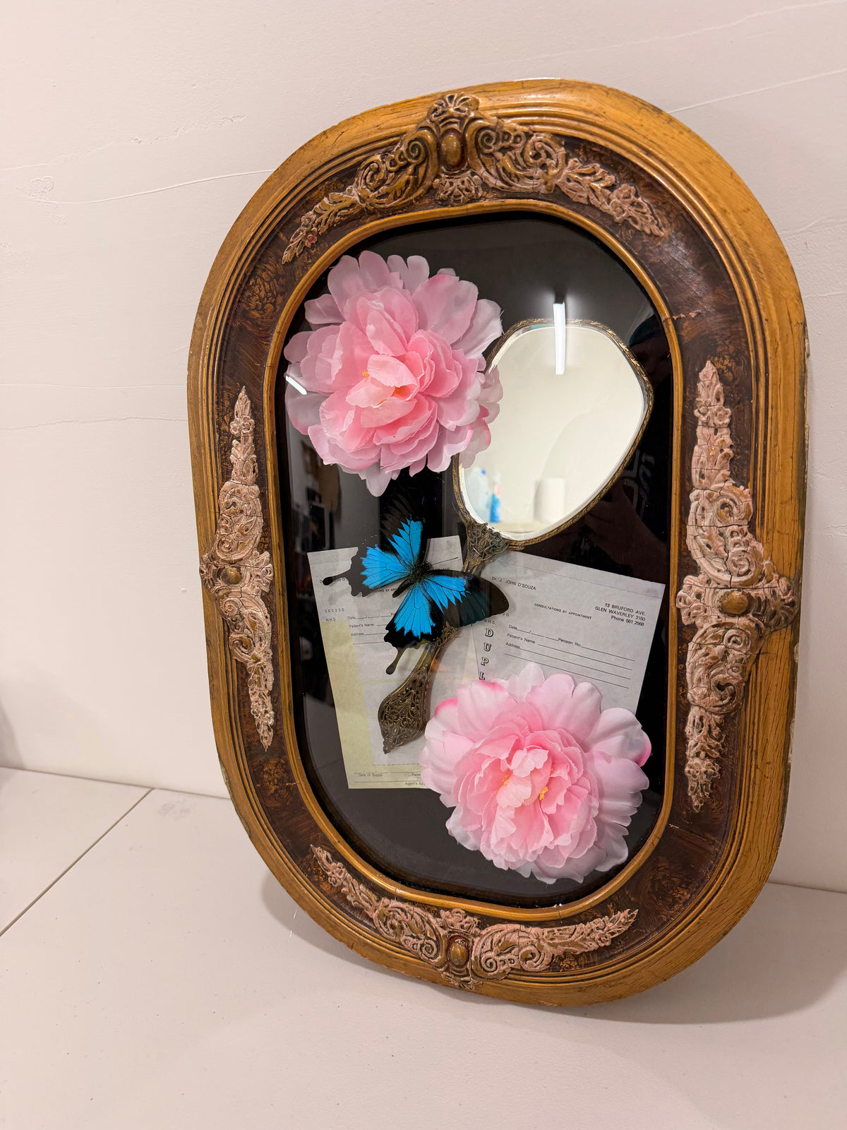 Blue Emperor (Papilio Ulysses) in Antique Convex/Bubble glass.