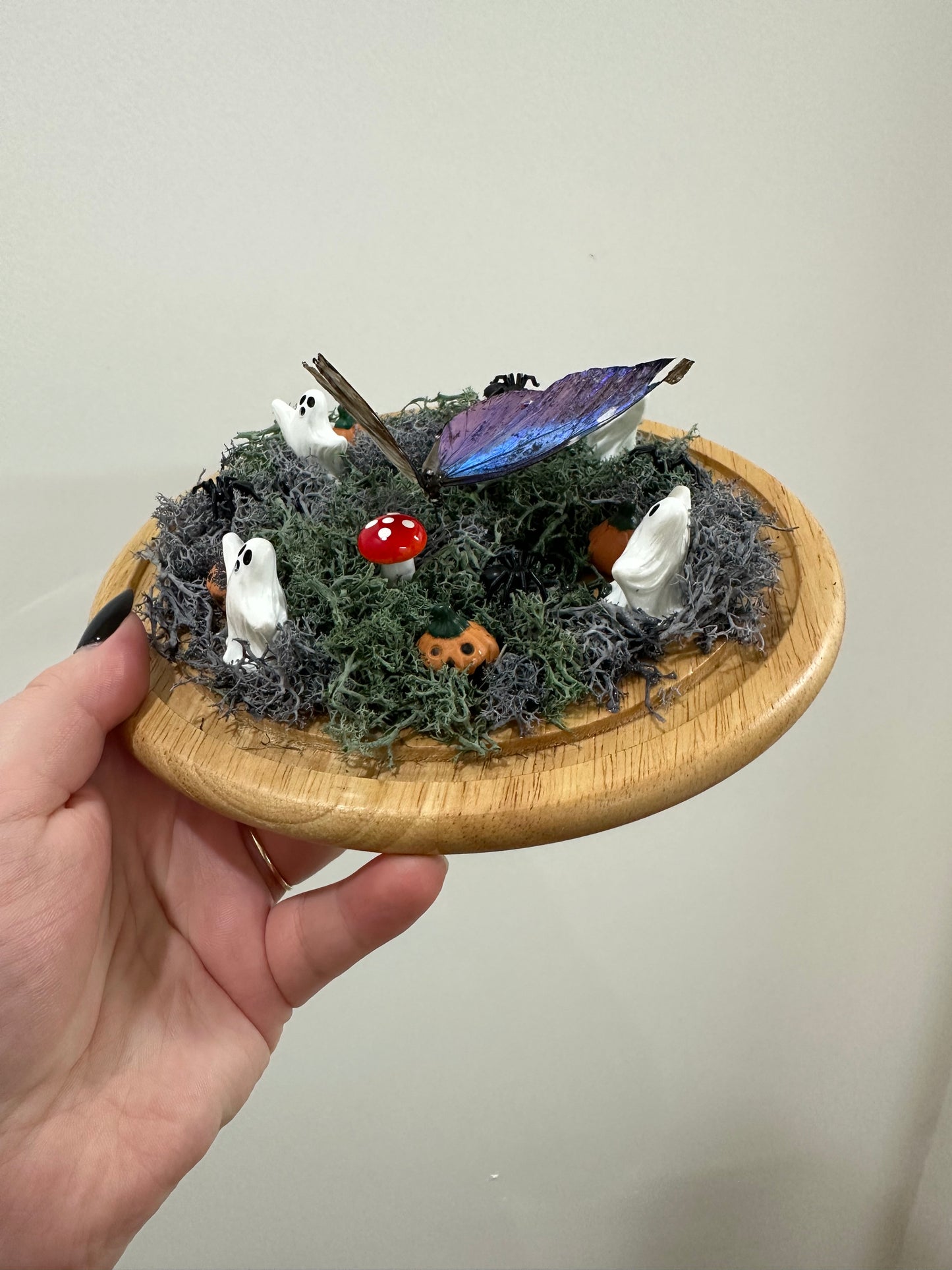 Haunted Butterfly Garden