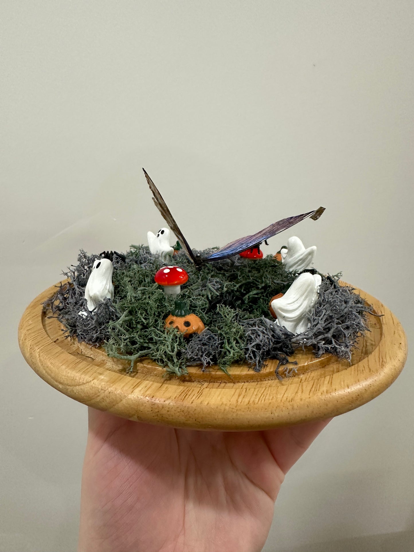 Haunted Butterfly Garden