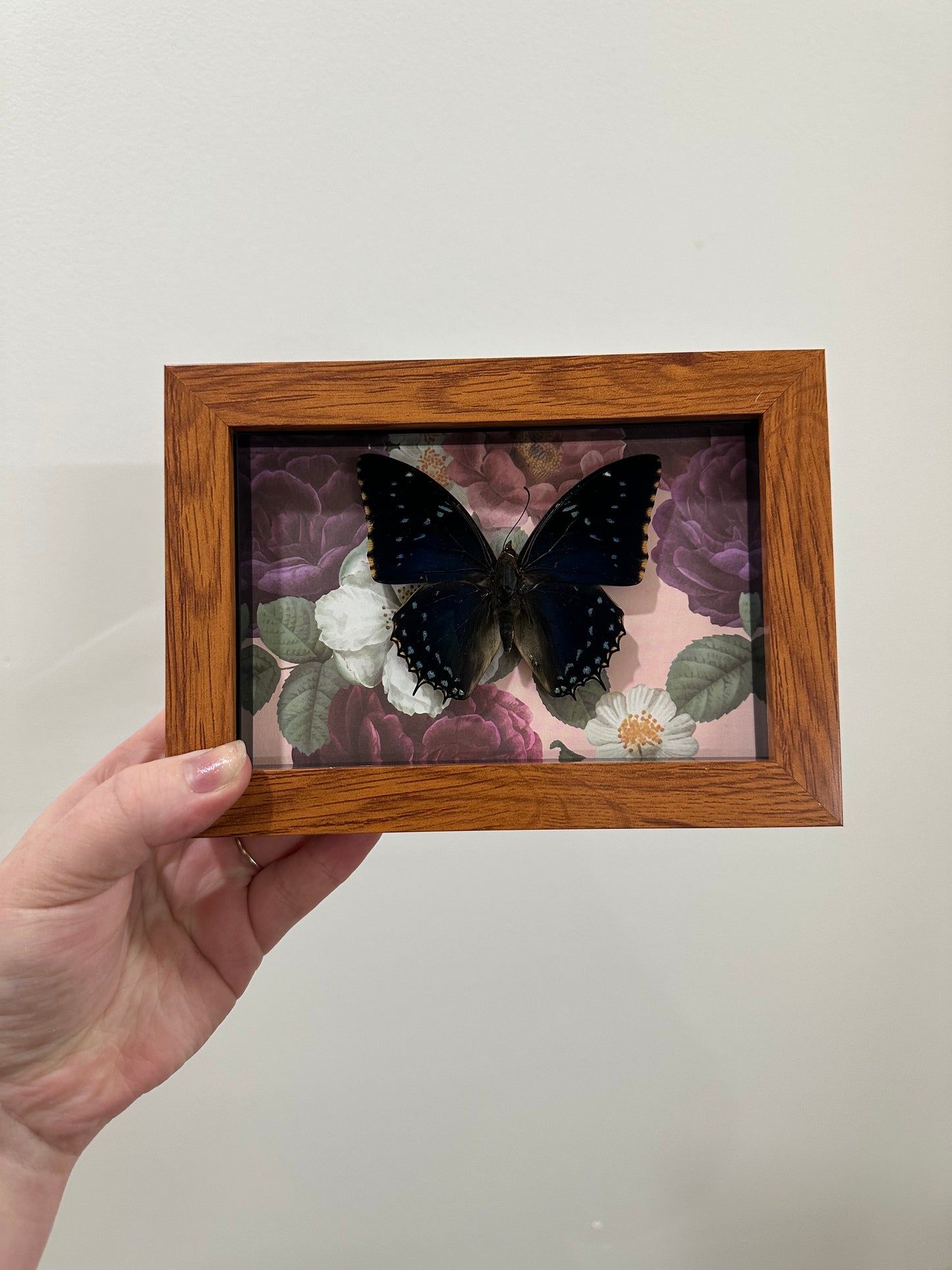 Butterfly with Flowers