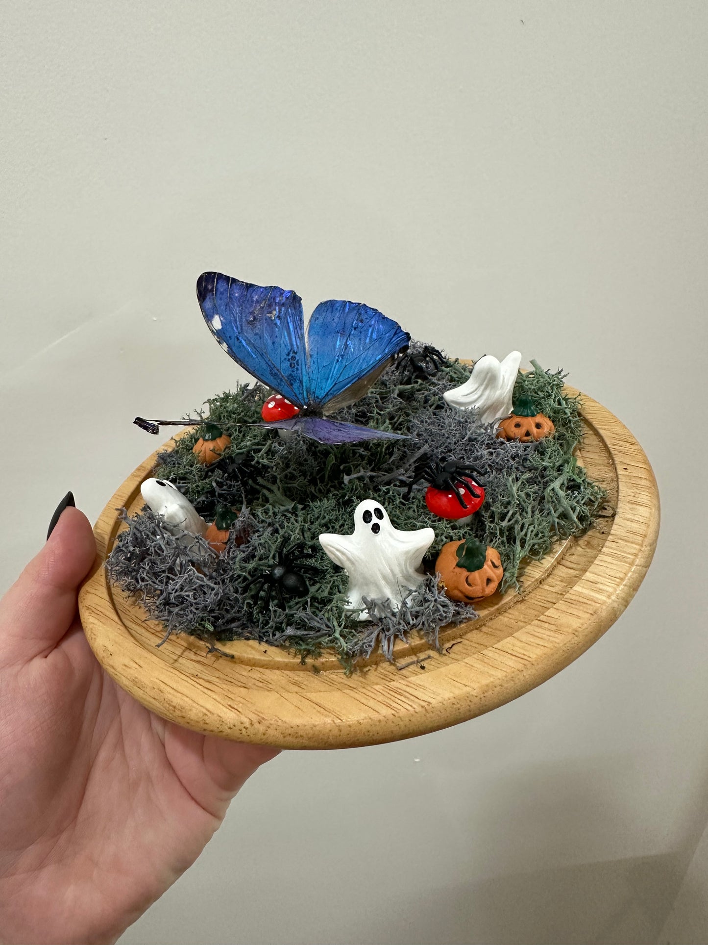Haunted Butterfly Garden