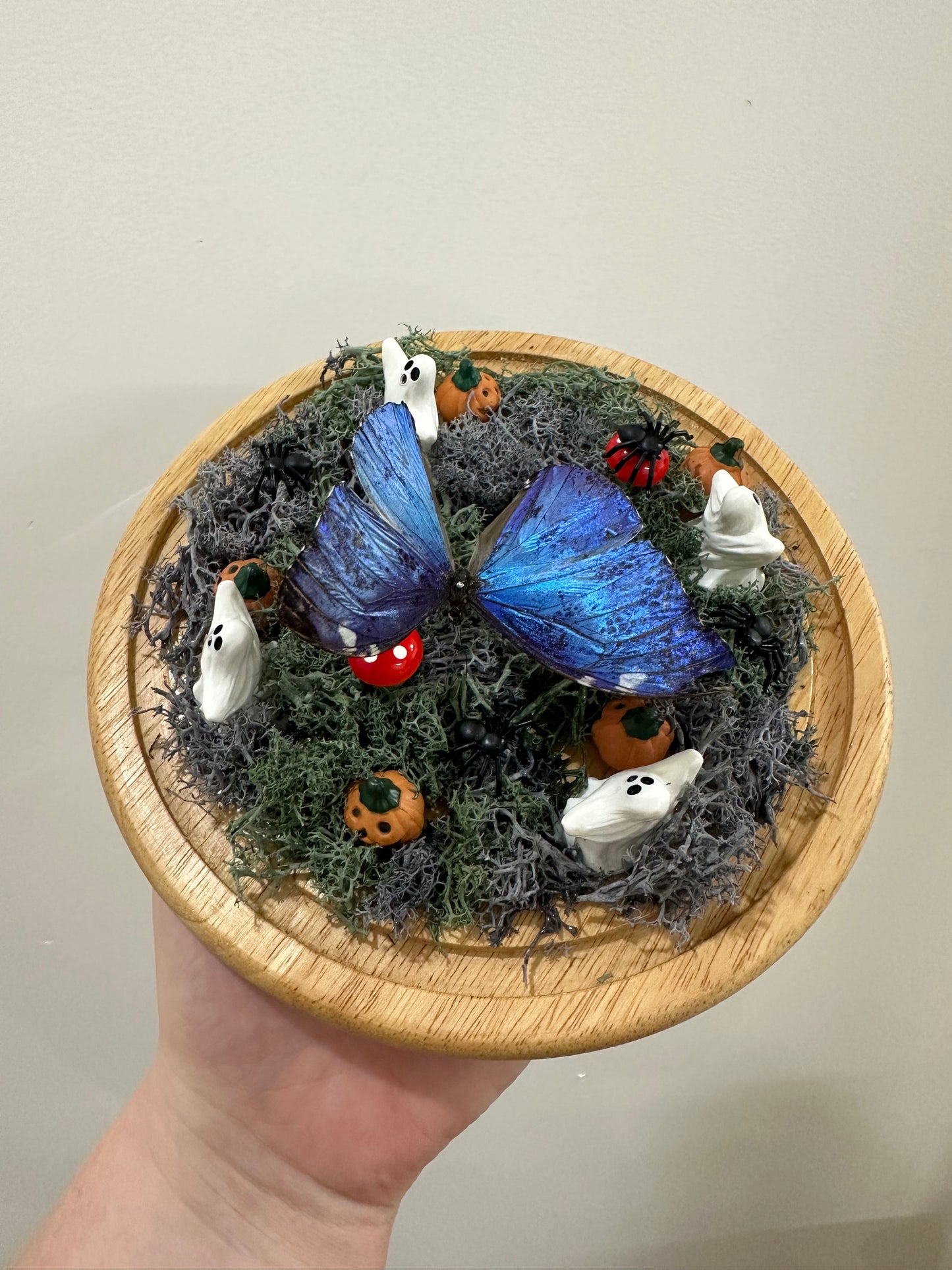 Haunted Butterfly Garden