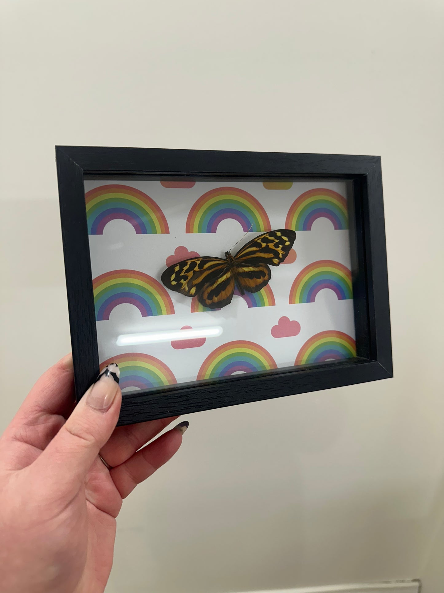 Pride wings
