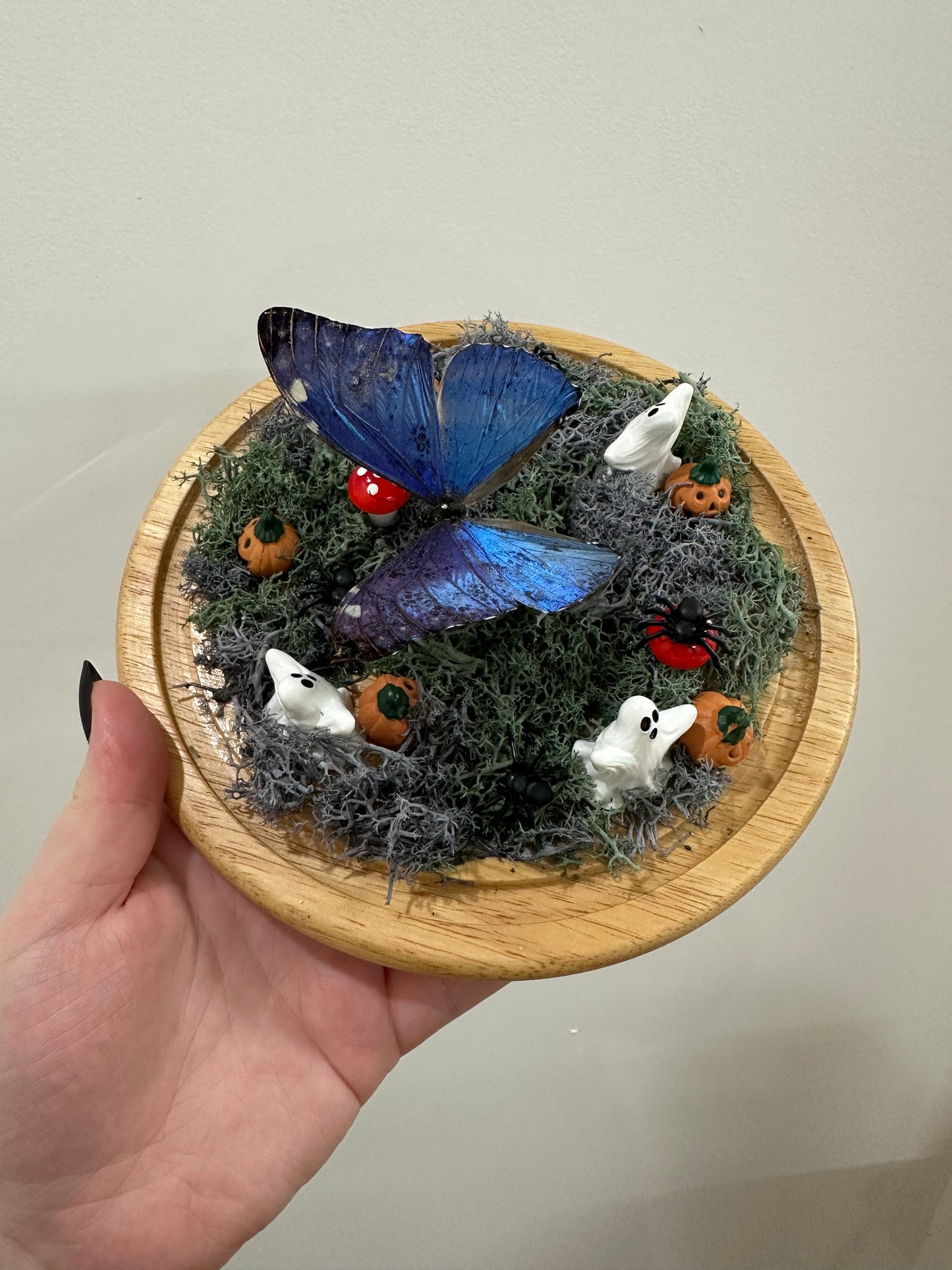 Haunted Butterfly Garden