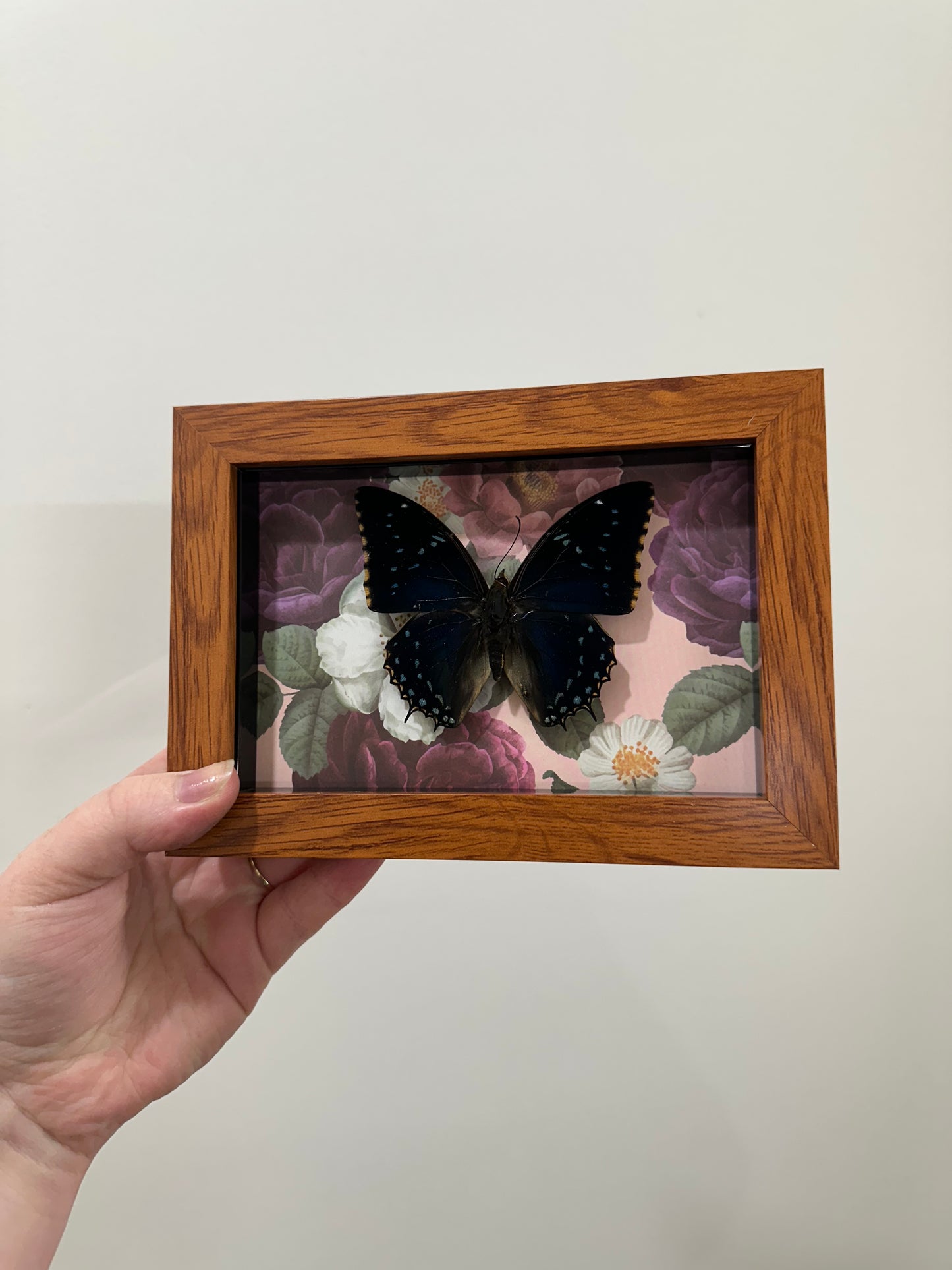 Butterfly with Flowers