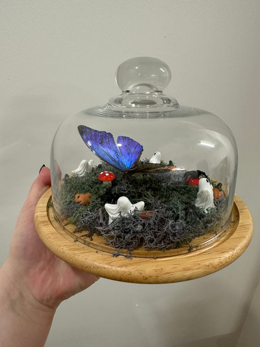 Haunted Butterfly Garden