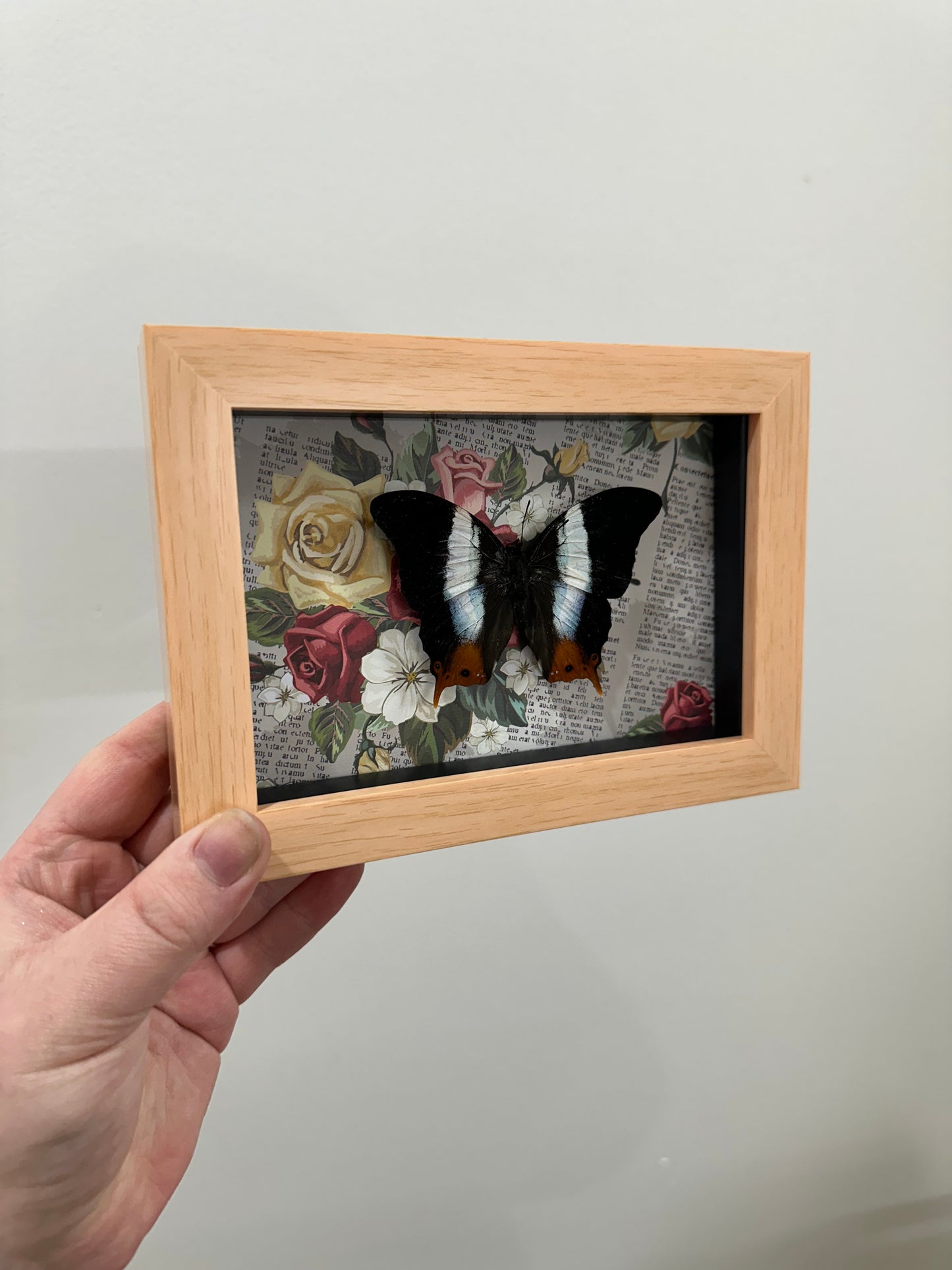 Butterfly with roses