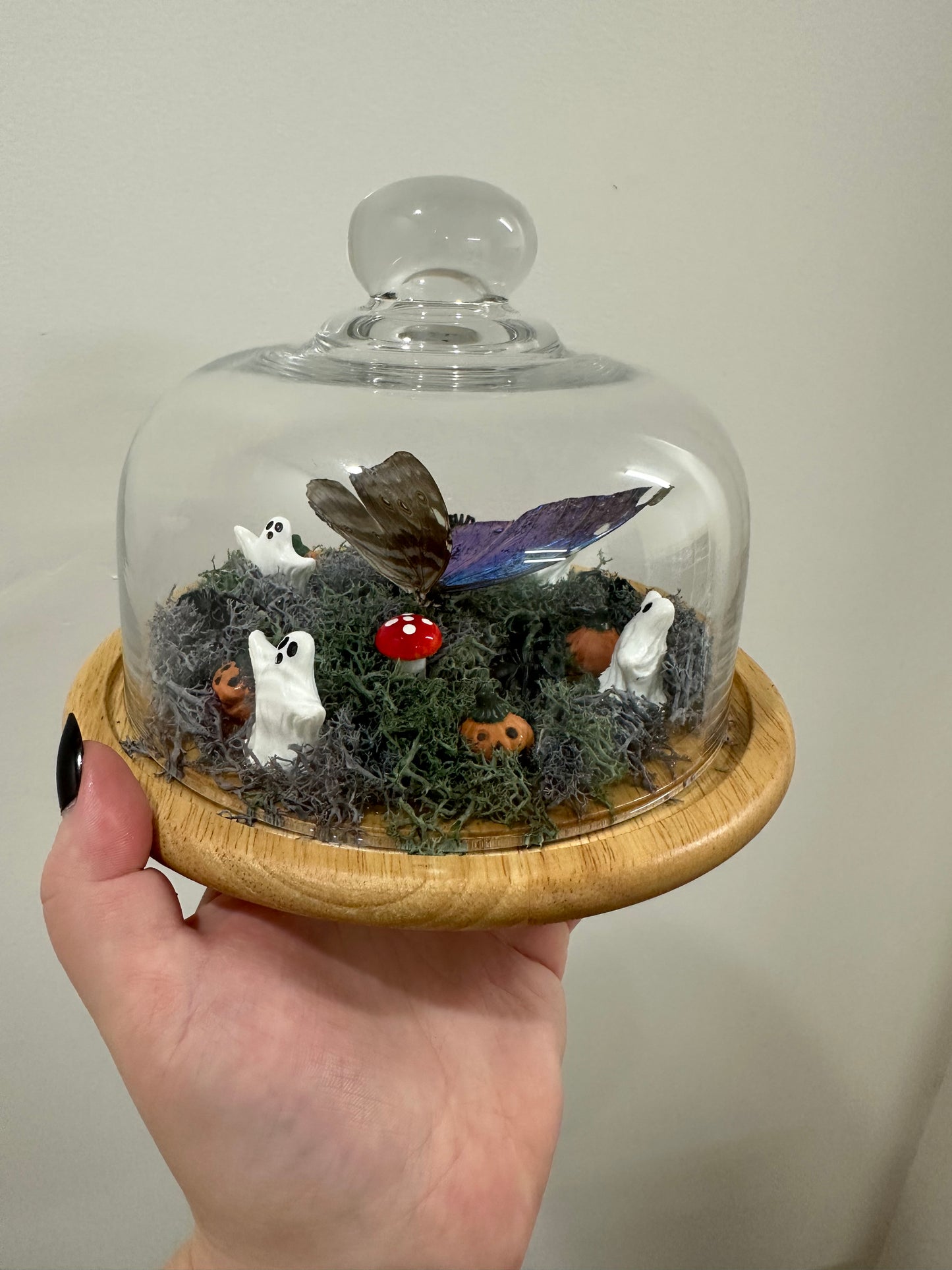 Haunted Butterfly Garden