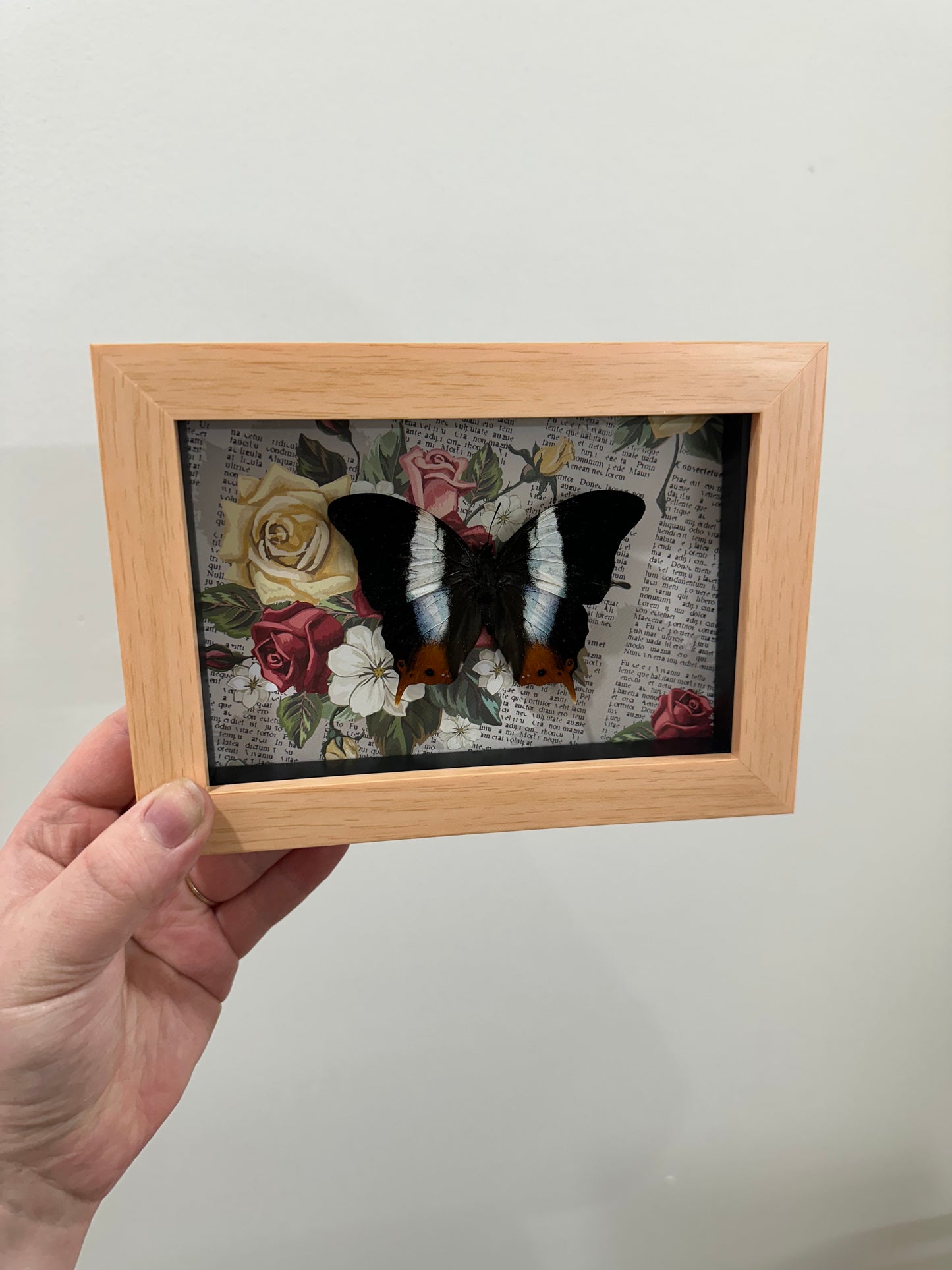 Butterfly with roses