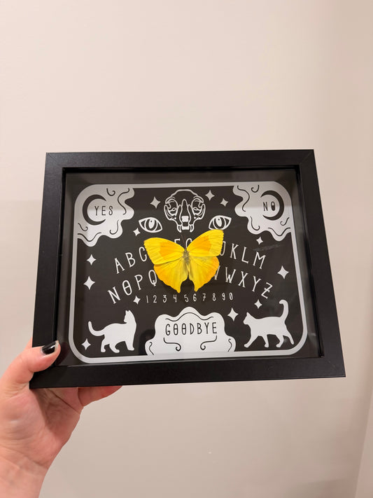 Ouija board with Orange-barred Sulphur (Phoebis Philea)
