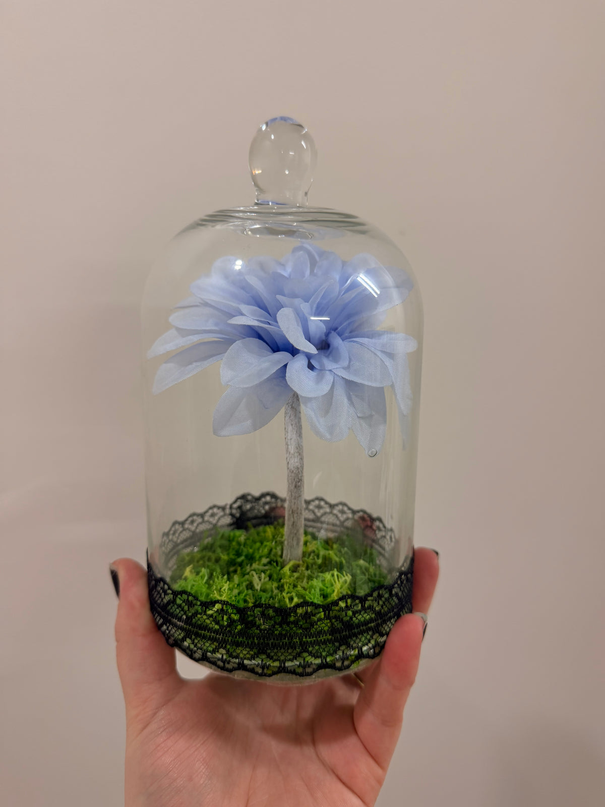 Sheep Rib bone Flower Light Blue