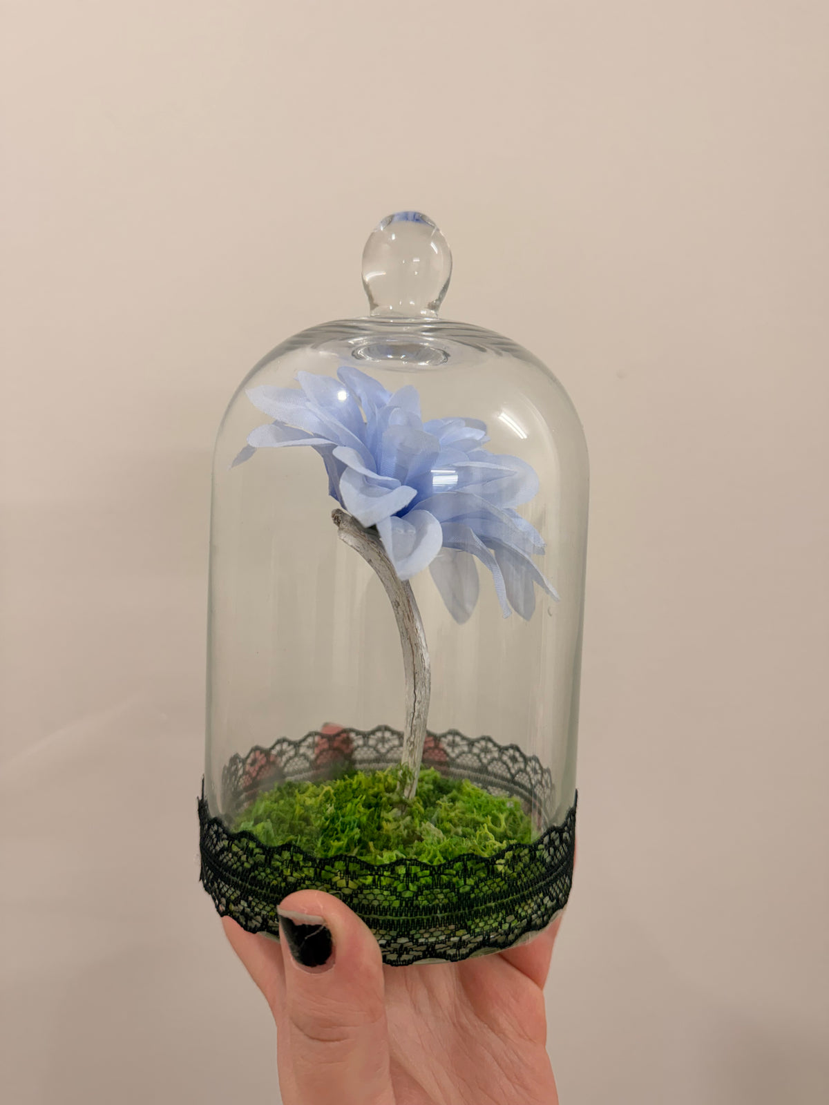 Sheep Rib bone Flower Light Blue