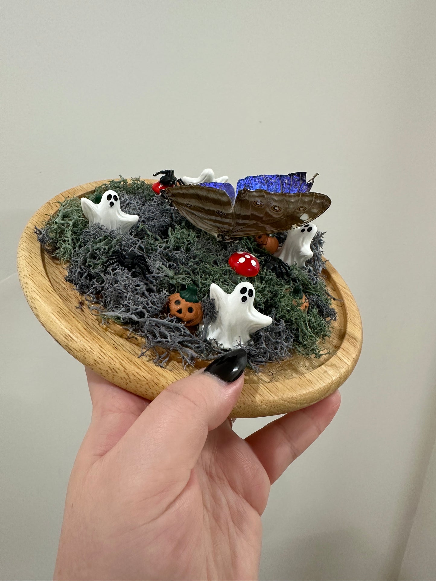 Haunted Butterfly Garden