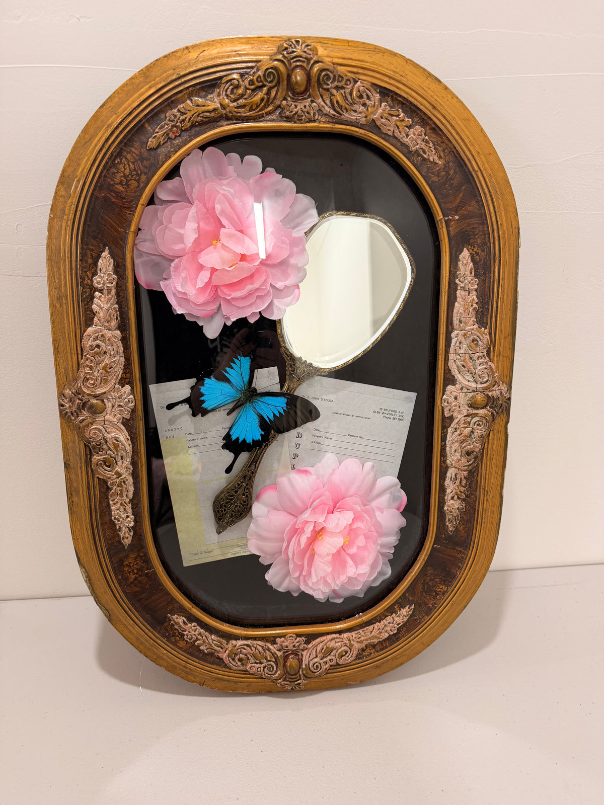 Blue Emperor (Papilio Ulysses) in Antique Convex/Bubble glass.