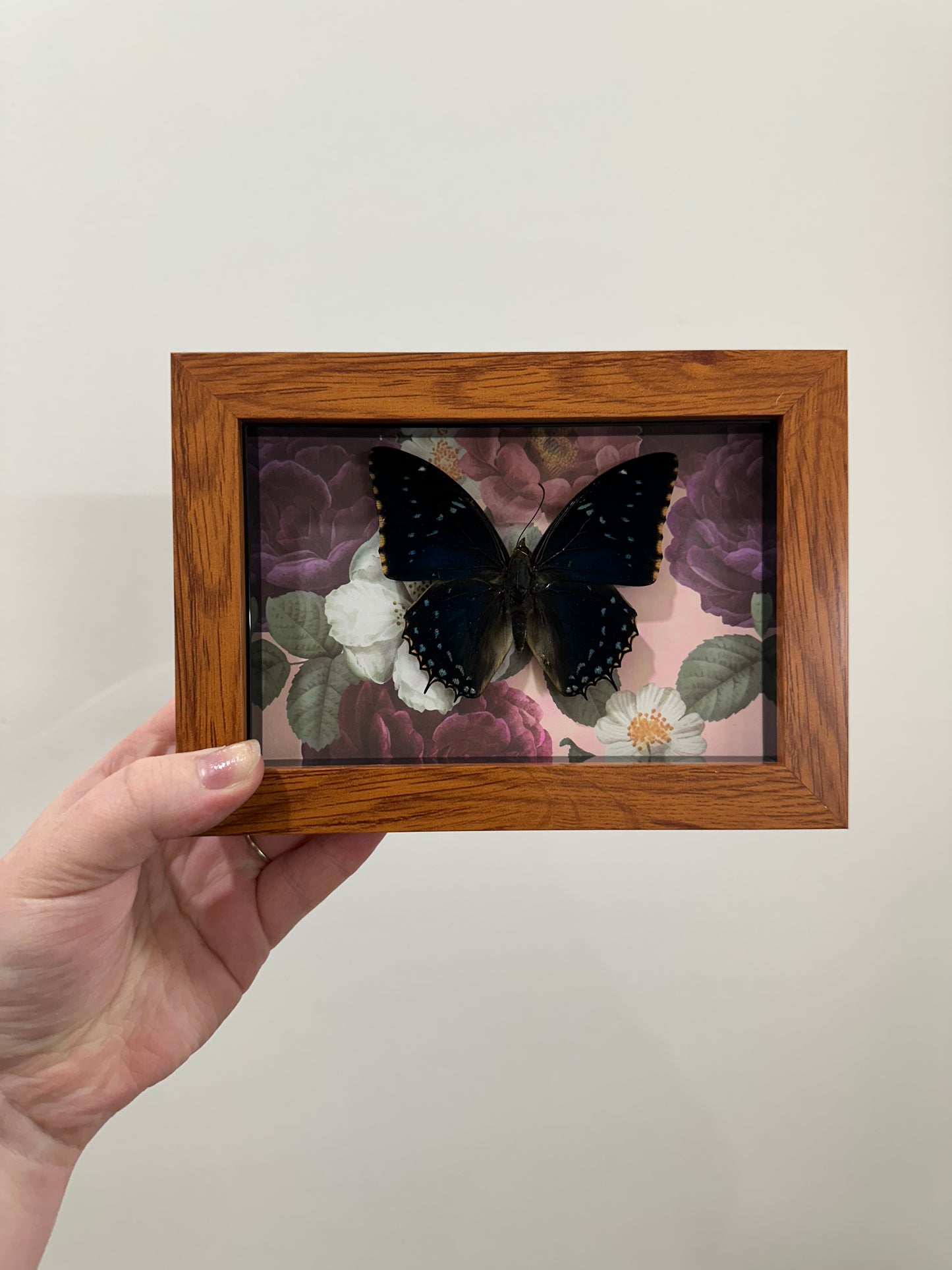 Butterfly with Flowers