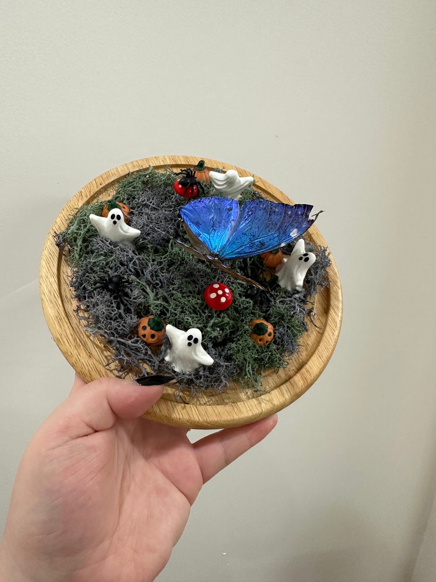 Haunted Butterfly Garden