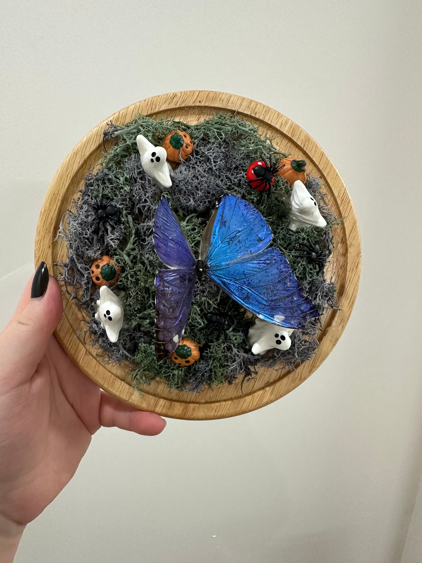 Haunted Butterfly Garden