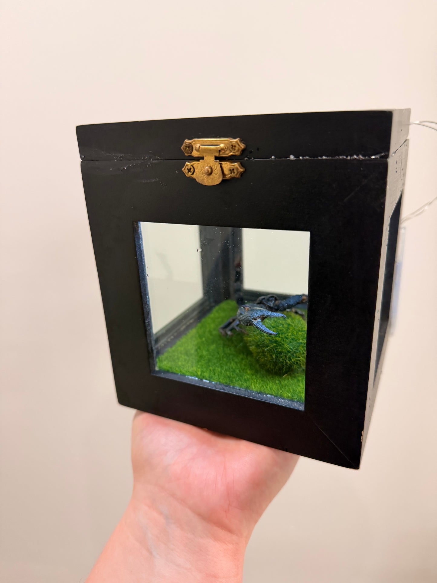 Scorpion Box (Lights up)