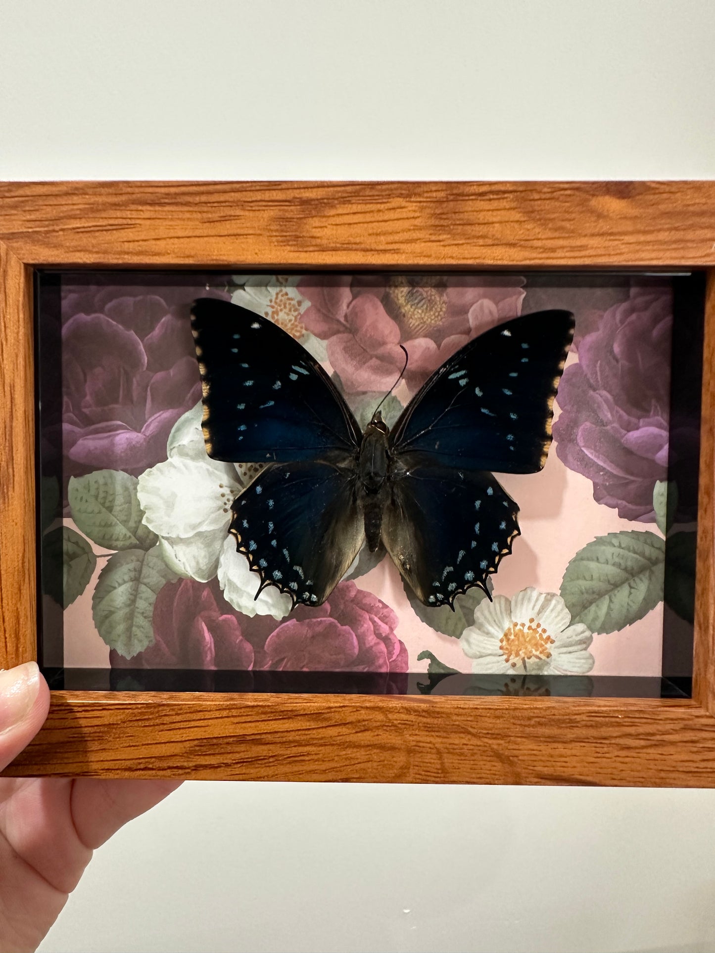 Butterfly with Flowers
