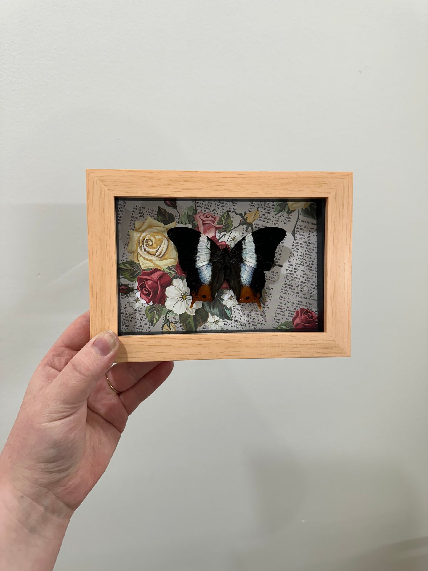 Butterfly with roses