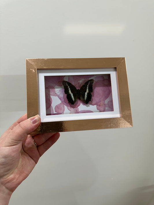 Rose gold frame